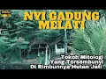 NYI GADUNG MELATI, PELINDUNG MERAPI YANG PETILASANNYA BERADA DI PELOSOK BANTUL | SENYUM INDONESIA