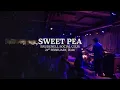 Safeguard - Sweet Pea (Live at Brudenell Social Club, Leeds 21st February 2026)