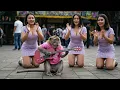 Download Lagu Viral Monyet Main Gitar di Alun Alun China | Yang Ini Bikin Gempar Dunia | Monkey playing guitar