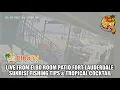 LAS OLAS LIVE Fort Lauderdale Patio Cam Elbo Room A1A