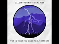 This Is What You Came For (Extended Mix)