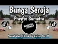 Lagu BUNGA SEROJA (PRAY FOR SUMATRA 2025) A SAD SONG FOR SUMATRA FLOODS 🌧️