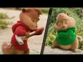 Alvin and the Chipmunks  - Uptown Funk