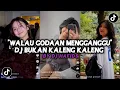 Download Lagu DJ WALAU GODAAN MENGGANGGU,HATIKU HANYA UNTUKMU | DJ BUKAN KALENG KALENG VIRAL TIKTOK