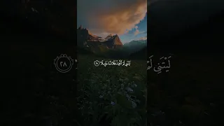 ويوم يعض الظالم علي يديه القارئ محمد اللحيدان قرآن 