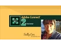 Adobe Connect Two--Overview