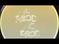 Never Have I Ever (Lyric Video) - Hillsong Young & Free