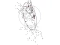 Point Pattern Analysis Descriptive Statistics