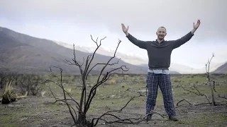 Wildfire Ate Our Forest – Pushing North 08