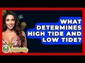 What Determines High Tide And Low Tide? - Beach Tour Guide