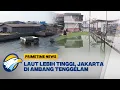 Lagu Jakarta di Ambang Tenggelam, Permukiman Pantai Mutiara Terancam [Primetime News]