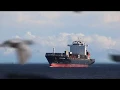 Container Ship Northern Debonair Comes to Baltimore Maryland October 27 2019