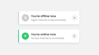 How to Check Network Status using CSS JavaScript