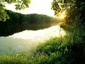 Ozark Henry - I'm Your Sacrifice (Brookes Brothers Remix)