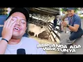 Download Lagu MEME FOR LAUGH EPS 386 ||  INI WAKTUNYA WARGA DUNIA BECANDA DEKK !!!
