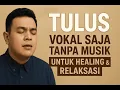 Lagu Tulus – Vokal Saja Tanpa Musik | Bikin Tenang, Cocok untuk Relaksasi dan Tidur