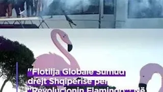 Flotilja dembelhaneve ultramajtistë komunistë vjen në Vlorë kundër zhvillimit të saj dhe kundër USA!
