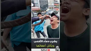 He Drinks The Blood Of A Snake And Eats Its Intestines 