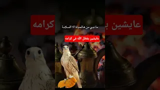 دامتنابصحةوخيرالحمدلله منبى من هالحياه الاسالامه شعر وقصائد اكسبلور دارك شعر شيلات اغاني Like 