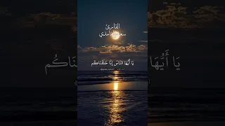 ياأيها الناس إنا خلقناكم من ذكر وأنثى وجعلناكم شعوبا وقبائل لتعارفوا إن أكرمكم عند الله أثقاكم  دندنها