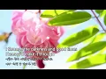 싱그러운 봄날을 맞이 하세요. A New Day Has Come , Celine Dion ( lyrics 가사 해석)