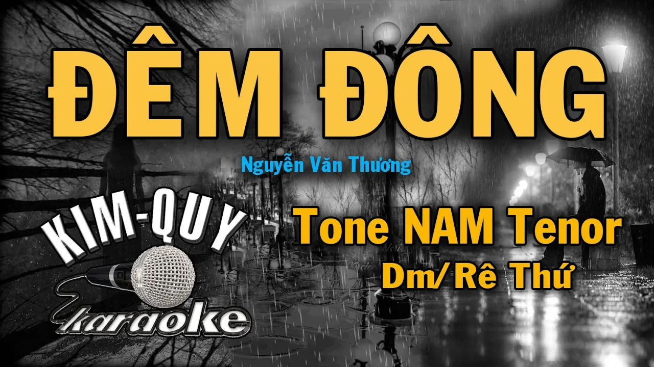 ĐÊM ĐÔNG - KARAOKE - Tone NAM Tenor ( Dm/Rê Thứ )