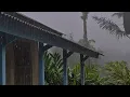 SLEEP FAST TONIGHT WITH PEACEFUL GENTLE RAIN SOUNDS ALL NIGHT 🌙🌧️