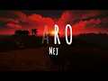 Paro - Nej  (Lyrics) English Translation
