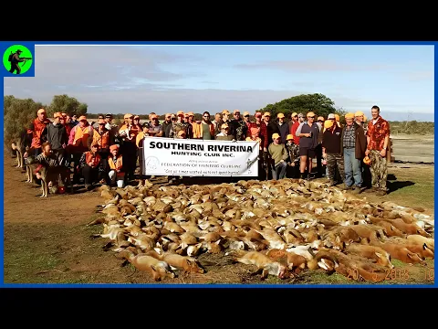 Download MP3 How Do Florida Hunters And Farmers Deal With Millions Of Red Foxes | Farming Documentary