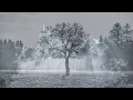 Download Lagu DELVA feat. Nic Frost \u0026 Caspar Pan - Winterkind (Official Lyric Video)