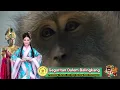 Download Lagu GEGURITAN SESULUH HIDUP BAG 2 DALEM BALINGKANG