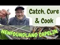 Catch Cure and Cook Newfoundland Capelin