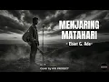 MENJARING MATAHARI - EBIET G. ADE (COVER) | MODERN ACOUSTIC VERSION