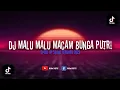 Download Lagu DJ VIRAL TIKTOK MALU MALU MACAM BUNGA  PUTRI TERBARU 2023