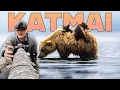 Download Lagu I Camped in Bear Country and Captured the BEST Wildlife Footage of My Life