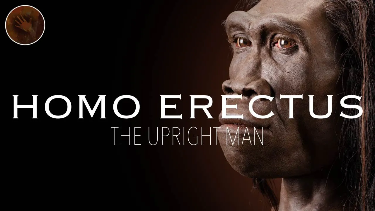 Homo erectus: The Upright Man | Early Humans Documentary