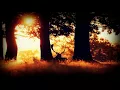Ulvesang - The Break