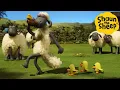 Download Lagu Shaun the Sheep 🐑 Shaun \u0026 The Chicks - Cartoons for Kids 🐑 Full Episodes Compilation [1 hour]