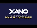 What is the Database