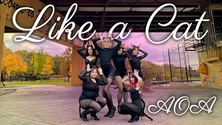 Download [KPOP IN PUBLIC ONE TAKE - CHICAGO] AOA - Like a Cat (사뿐사뿐) | TCN Pulse Dance Cover MP3