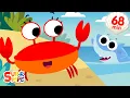 Download Lagu The Crabs Go Crawling + More | Fun Summer Songs | Super Simple Songs
