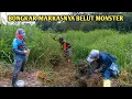 Download Lagu SAYA YAKIN NGGA SEMUA ORANG SANGGUP MANCING BELUT DI TEMPAT SEPERTI INI 