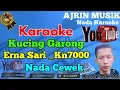 Download Lagu Erna Sari - Kucing Garong [Karaoke] Kn7000 - Nada Wanita | Ajrin Musik