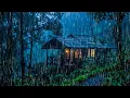 Download Lagu Suara Hujan Untuk Tidur - Suara Alam Hujan Dan Guntur Di Atap Untuk Tertidur Cepat, Rileks