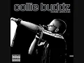 collie buddz-eyez