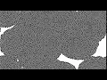 Reaction-Diffusion 10x