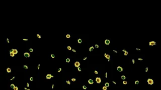 خالد الصحافة ملكة الحسن البديع 