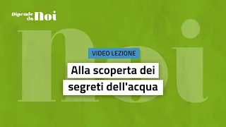 Video lezione || Alla scoperta dei segreti dell'acqua