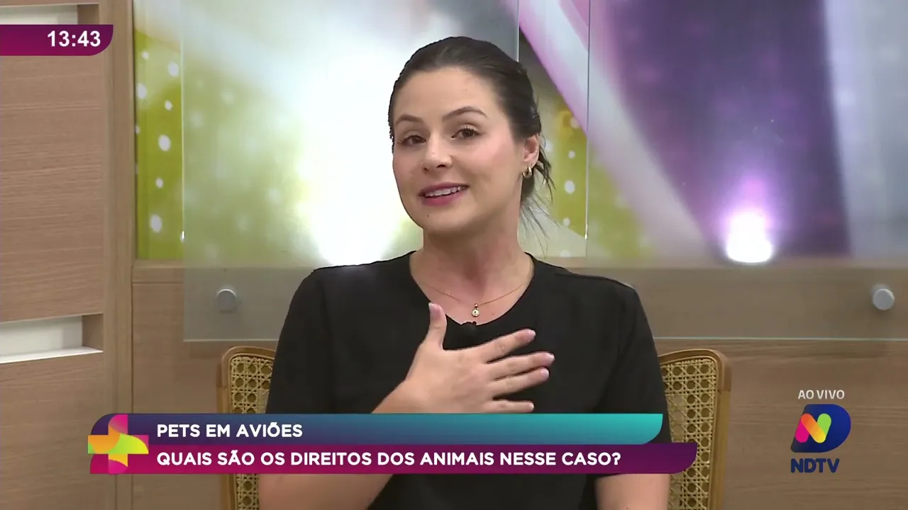 Pet News: O Que Considerar ao Transportar Pets em Viagens Aéreas - Pt2