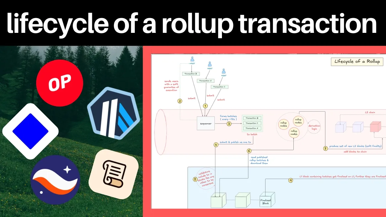 Rollup Transaction Lifecycle: A Visual Technical Guide